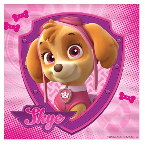 Paw Patrol Skye & Everest 3 x 49 pc Jigsaw Puzzles Extra Image 3